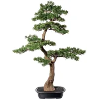 Creativ green Kunstbonsai »Bonsai Zeder«, grün