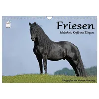 Calvendo Friesen - Schönheit, Kraft und Eleganz (Wandkalender 2026