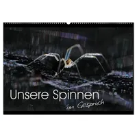 Calvendo Unsere Spinnen - im Gespräch (Wandkalender 2026 DIN