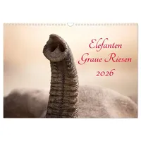 Calvendo Elefanten - Graue Riesen (Wandkalender 2026 DIN A3