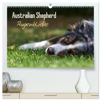 Calvendo Australian Shepherd - Augenblicke (hochwertiger Premium Wandkalender 2026