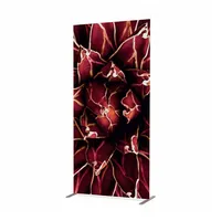 Showdown Displays Showdown Raumteiler 100x200cm Kaktus rt
