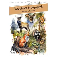 Calvendo Waldtiere in Aquarell - Heimische Tierarten (Wandkalender 2026