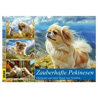 Calvendo Zauberhafte Pekinesen. Charmante und stolze Hunde zum Verlieben