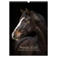Calvendo Pferde 2026 - Charakterköpfe vor der Kamera (Wandkalender