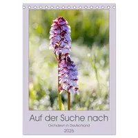 Calvendo Auf der Suche nach Orchideen in Deutschland (Tischkalender