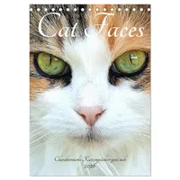 Calvendo Cat Faces - Charakterstarke Katzengesichter ganz nah (Tischkalender