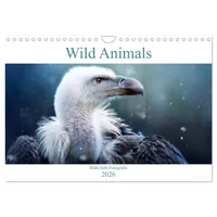 Calvendo Wild Animals - Wilde Tiere (Wandkalender 2026 DIN