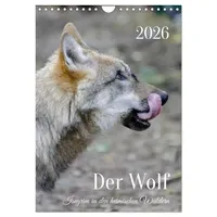 Calvendo Der Wolf - Isegrim in den heimischen Wäldern