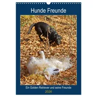 Calvendo Hunde Freunde (Wandkalender 2026 DIN A3 hoch), CALVENDO
