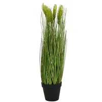 Europalms Weizen Frühsommer, 60cm