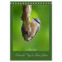 Calvendo Heimische Vögel in Ihren Gärten (Tischkalender 2026 DIN