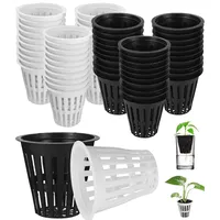 Ixydor 60 Hydrokultur Netztöpfe 5,5 cm