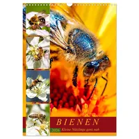Calvendo BIENEN - Kleine Nützlinge ganz nah (Wandkalender 2026