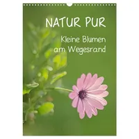 Calvendo NATUR PUR Kleine Blumen am Wegesrand (Wandkalender 2026
