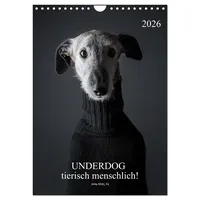 Calvendo UNDERDOG - Windhundportraits (Wandkalender 2026 DIN A4 hoch),