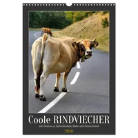 Calvendo Coole Rindviecher (Wandkalender 2026 DIN A3 hoch), CALVENDO