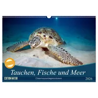 Calvendo Tauchen, Fische und Meer (Wandkalender 2026 DIN A3