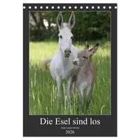 Calvendo Die Esel sind los (Tischkalender 2026 DIN A5