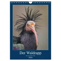 Calvendo Der Waldrapp - Der etwas andere Vogel (Wandkalender