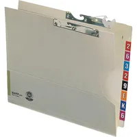 Leitz Pendelmappe Orgacolor 320g Karton 25 St./Pack.