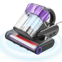 Vevor Matratzenstaubsauger 550 W grau 2023