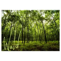Calvendo Wald (Wandkalender 2026 DIN A2 quer), CALVENDO Monatskalender