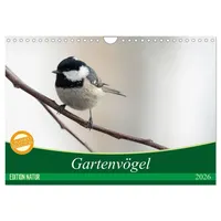 Calvendo Gartenvögel (Wandkalender 2026 DIN A4 quer), CALVENDO Monatskalender