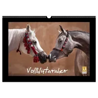 Calvendo Vollblutaraber (Wandkalender 2026 DIN A3 quer), CALVENDO Monatskalender: