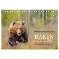 Calvendo Magie des Augenblicks - Bären in nordischen Wäldern