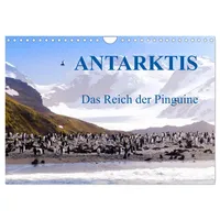 Calvendo Antarktis - Das Reich der Pinguine (Wandkalender 2026