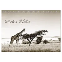 Calvendo Wildes Afrika (Tischkalender 2026 DIN A5 quer), CALVENDO