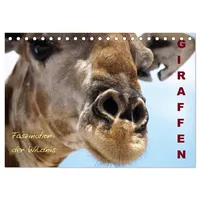 Calvendo Giraffen – Faszination der Wildnis (Tischkalender 2026 DIN