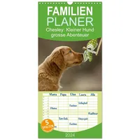 Calvendo Familienplaner 2026 - Chesley Kleiner Hund grosse Abenteuer