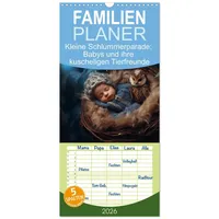 Calvendo Familienplaner 2026 - Kleine Schlummerparade: Babys und ihre