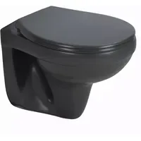 Sanicomfort Wand-WC mit WC-Sitz Anthrazit matt