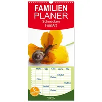 Calvendo Familienplaner 2026 - Schnecken FineArt mit 5 Spalten