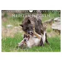 Calvendo Meister Isegrim (Wandkalender 2026 DIN A4 quer), CALVENDO
