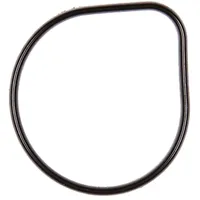 Continental/VDO Dichtung