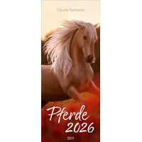 Korsch Verlag Pferde 2026