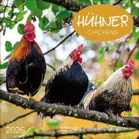Korsch Verlag Hühner 2026