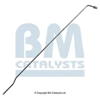 BM CATALYSTS PP31042A