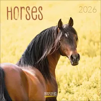 Korsch Verlag Horses 2026