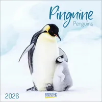Korsch Verlag Pinguine 2026