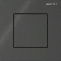 Geberit Typ 40 Betätigungsplatte Schwarz