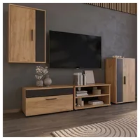 Vicco Wohnzimmerschränke Berno, Goldkraft Eiche/Anthrazit, 2 Teile