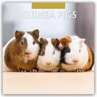 Brown trout-auslieferer flechsig Guinea Pigs - Meerschweinchen 2026 -
