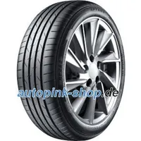 Aptany RP062 205/55R16 91V