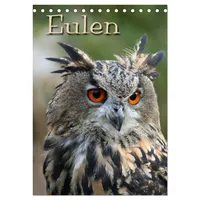 Calvendo Eulen (Tischkalender 2026 DIN A5 hoch), CALVENDO Monatskalender