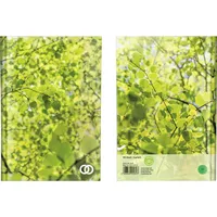 SOENNECKEN Notizbuch oeco 1246 A5 kariert